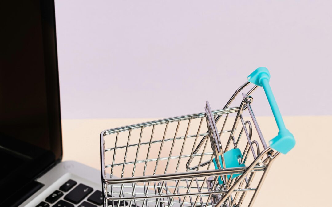 rédaction-seo-et-site -e-commerce en Bretagne